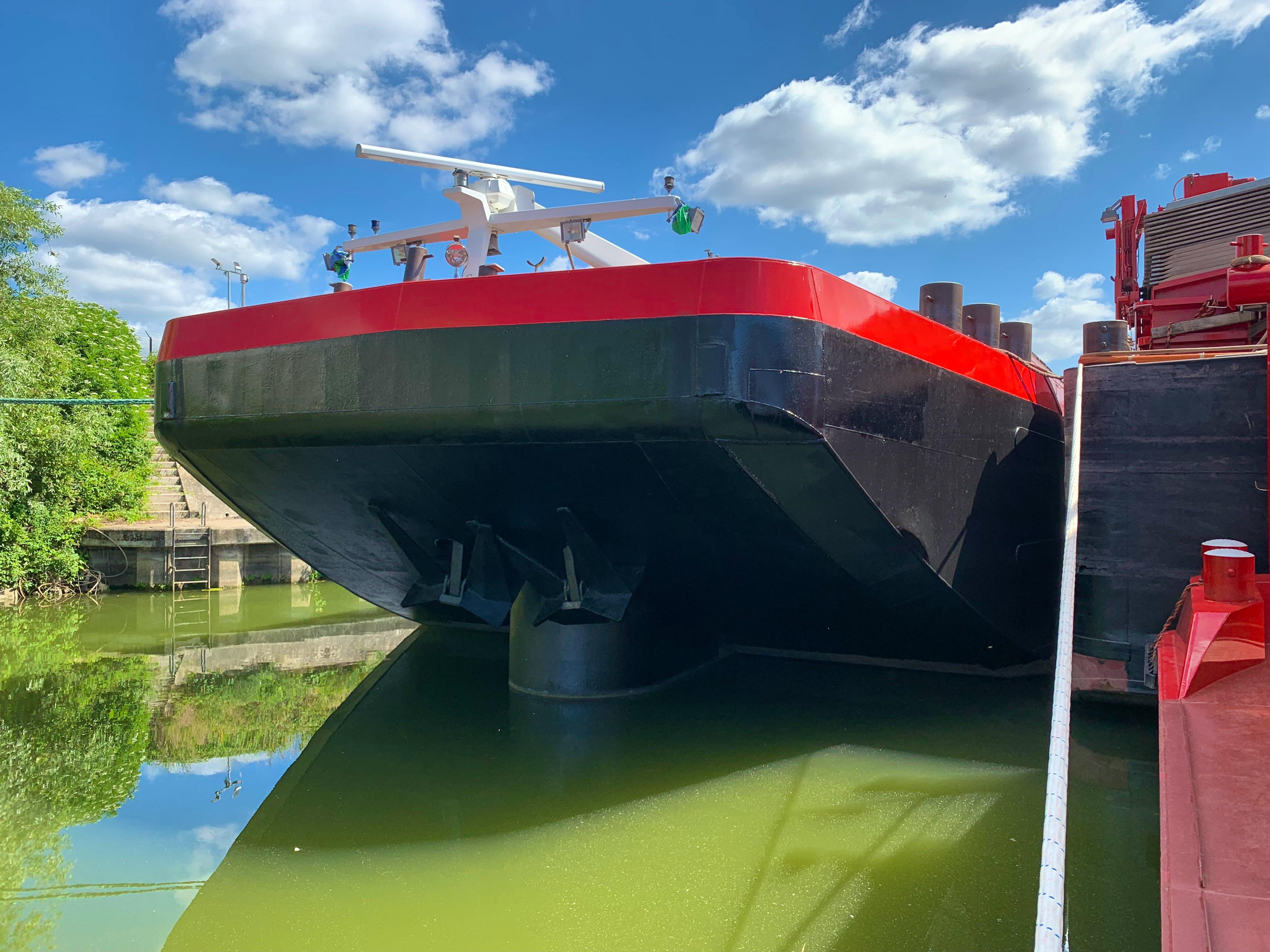 Cyrius — thumbnail 2